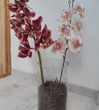 Gæstehus Natura Panzio Szilvásvárad