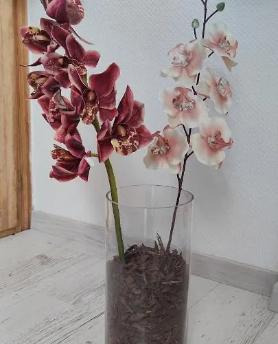 Gasthuis Natura Panzio Szilvásvárad